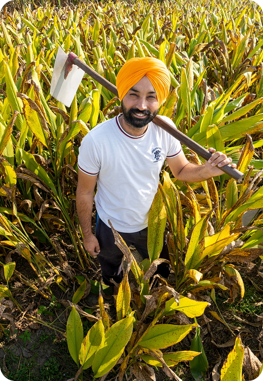 Field work