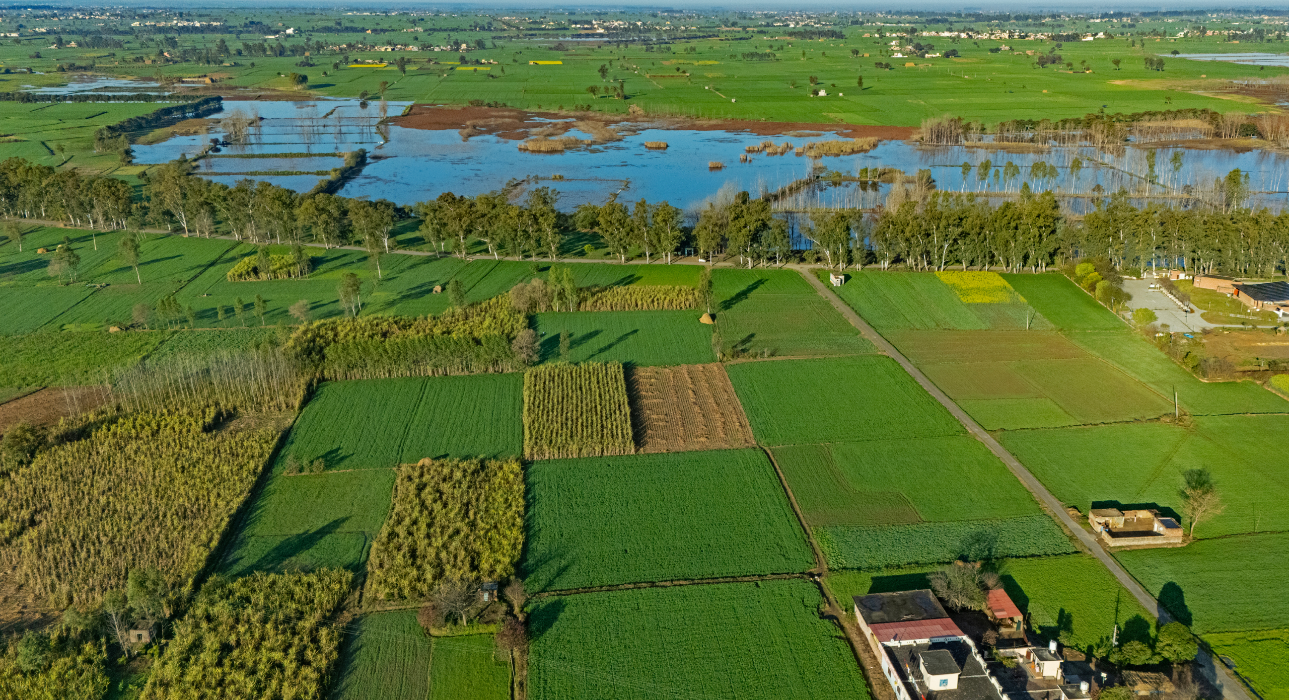 Building a Self-Reliant Punjab