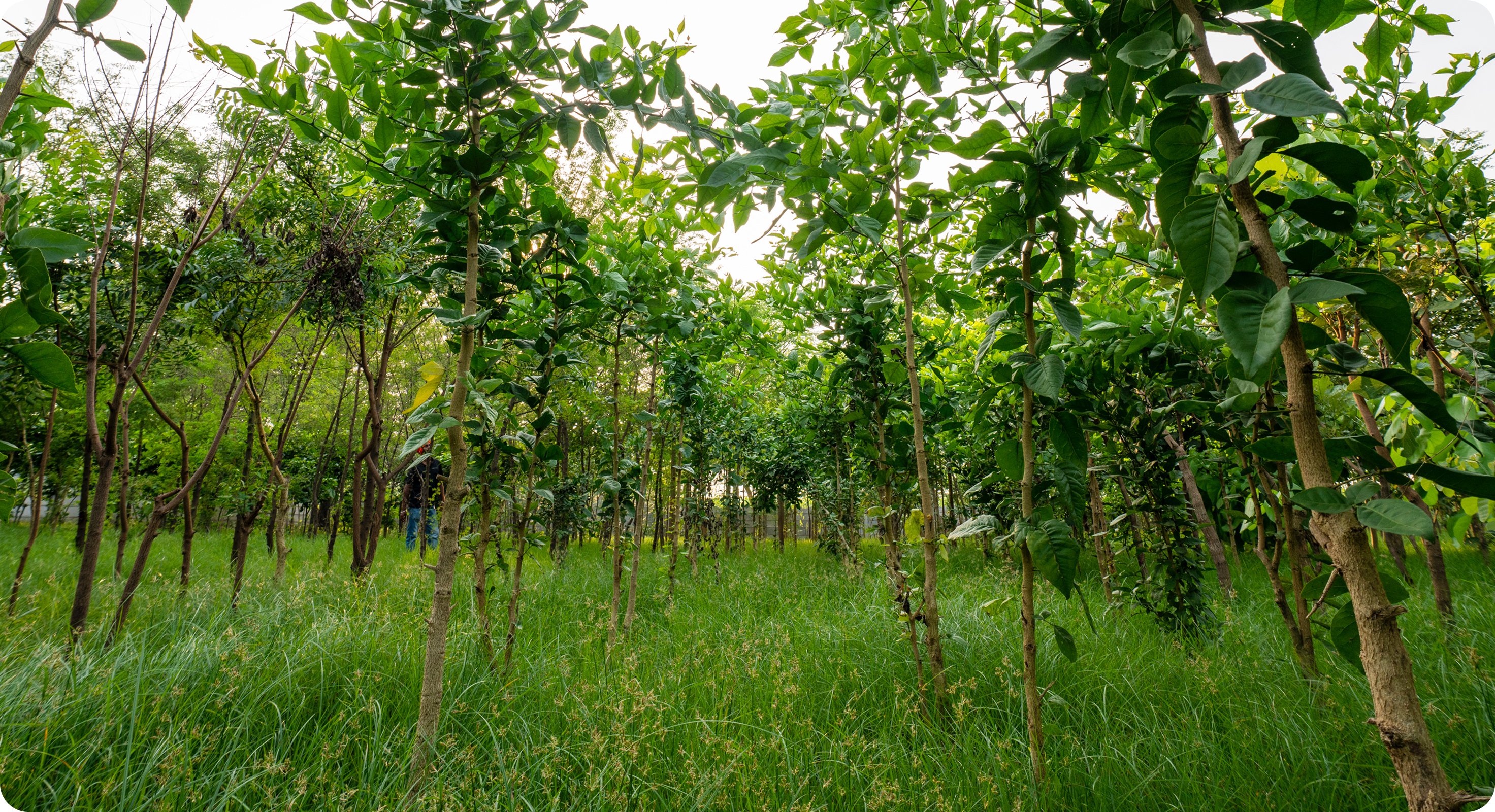 Environment & Sustainability