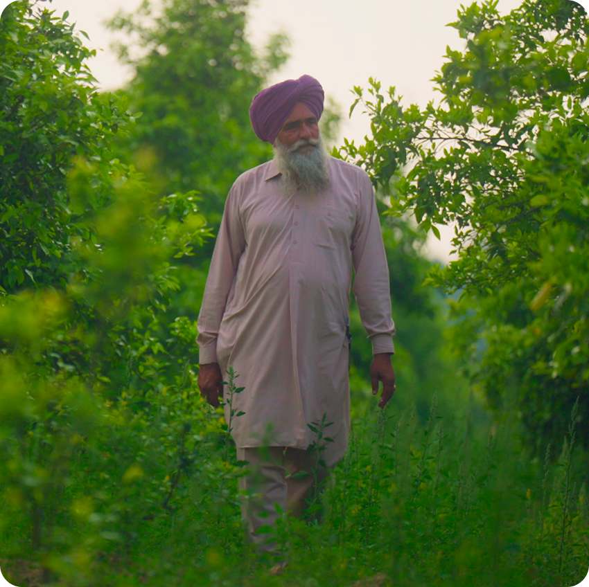 Monitoring and Support