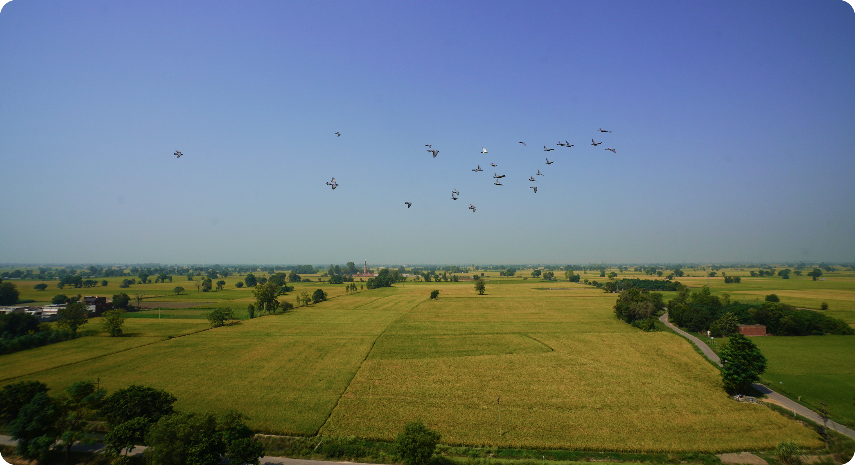 Reports & Financials 