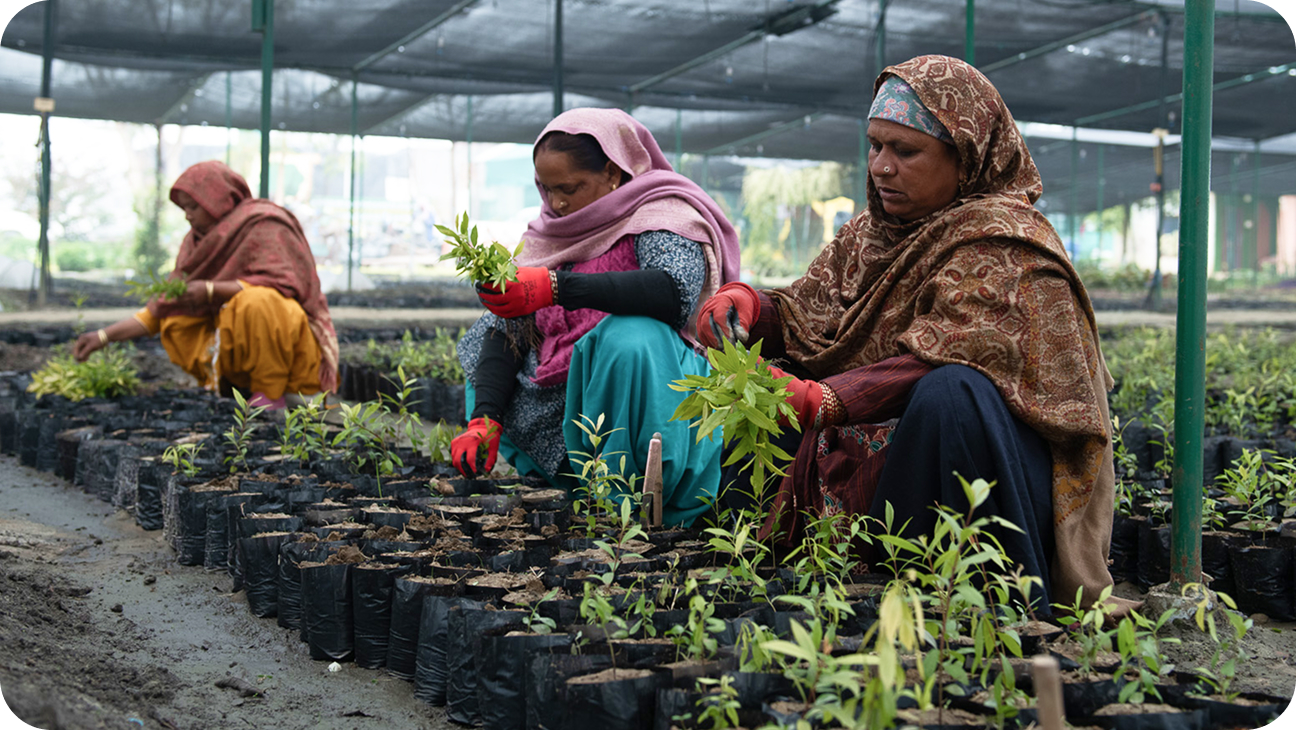 How We Are Different