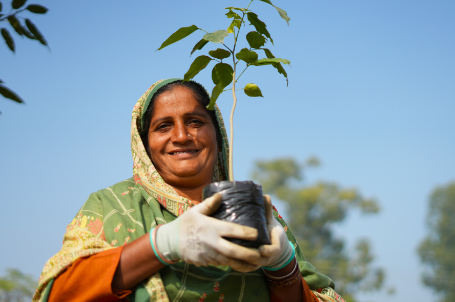 A plan that is much more than just planting trees