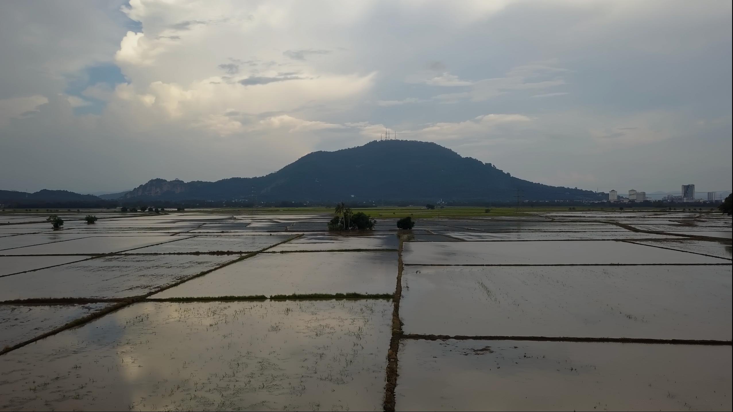 Punjab’s Groundwater Crisis: The Truth Beneath the Surface