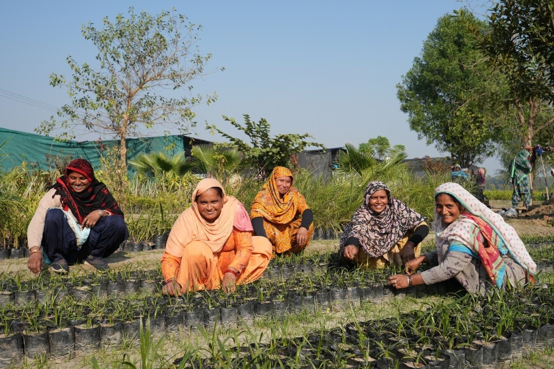 #Goals2Trees Campaign to Plant 500 Trees per Goal in a Sports-Driven Sustainability Push